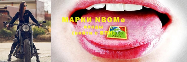 индика Медногорск