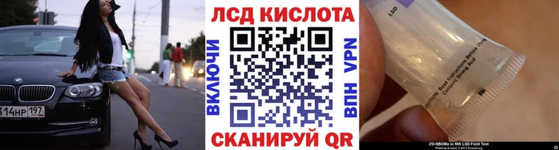 Купить закладки  Новая Ляля  Наркотические марки 1500мкг 